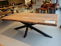 Indoor boomstamtafel - afbeelding 5 van  6