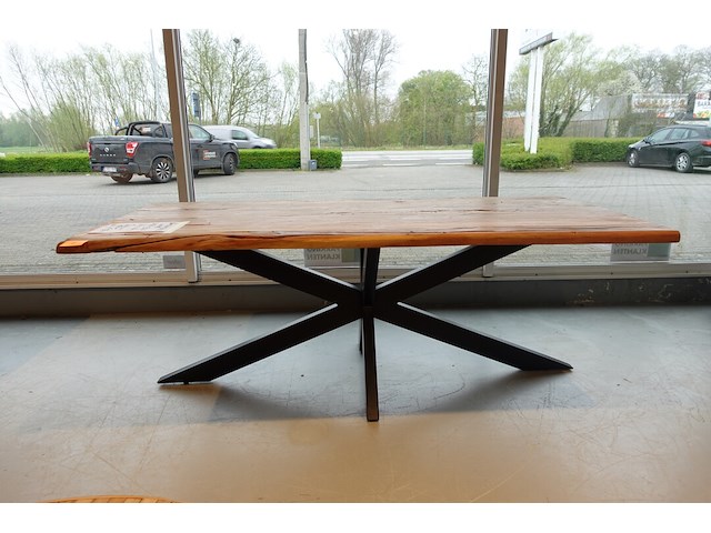 Indoor boomstamtafel - afbeelding 1 van  6