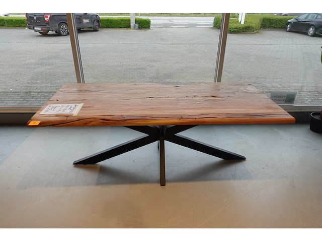 Indoor boomstamtafel - afbeelding 2 van  6