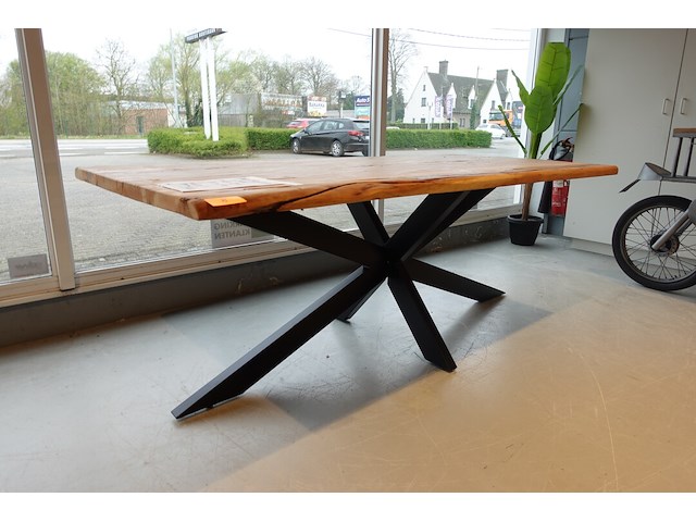 Indoor boomstamtafel - afbeelding 3 van  6