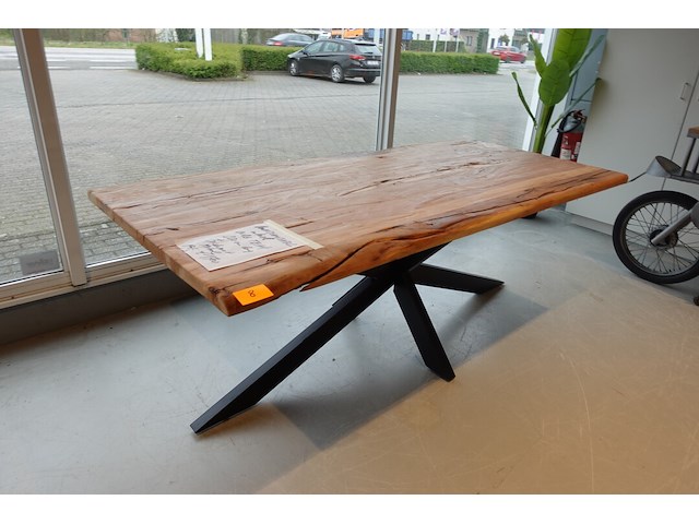 Indoor boomstamtafel - afbeelding 4 van  6