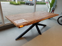 Indoor boomstamtafel - afbeelding 4 van  6