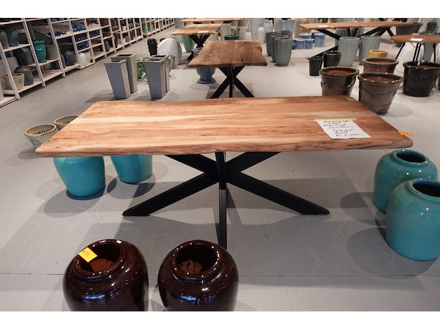 Indoor boomstamtafel - afbeelding 2 van  5