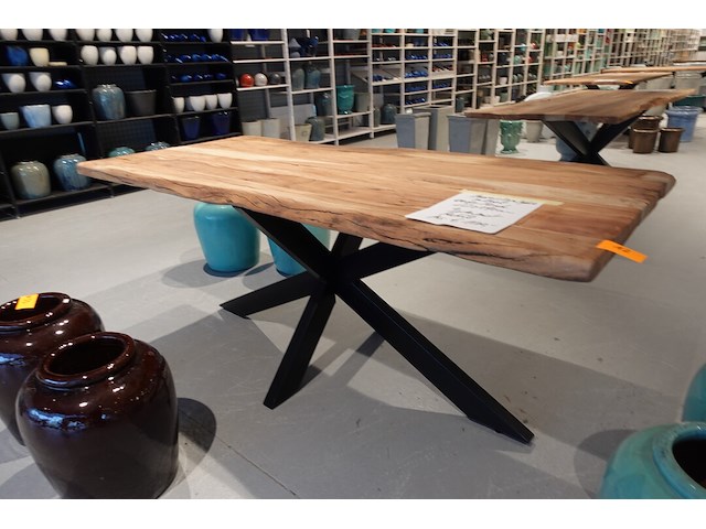 Indoor boomstamtafel - afbeelding 3 van  5
