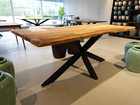 Indoor boomstamtafel - afbeelding 4 van  5