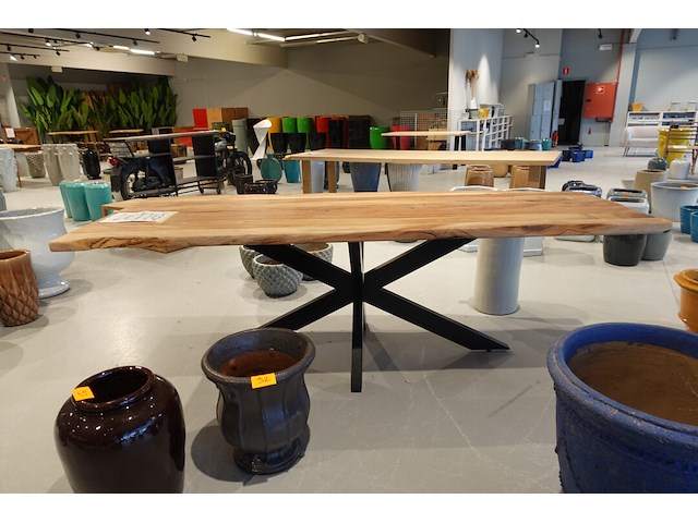 Indoor boomstamtafel - afbeelding 1 van  7