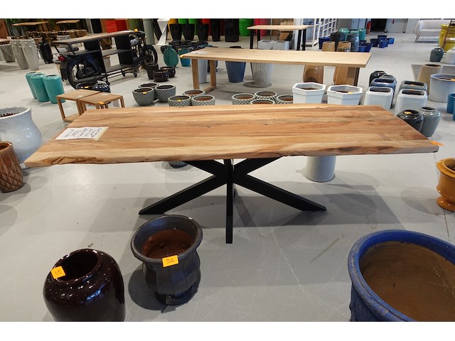 Indoor boomstamtafel - afbeelding 2 van  7