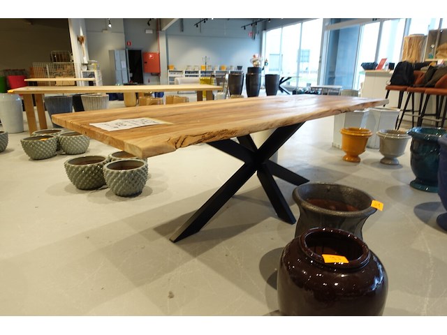 Indoor boomstamtafel - afbeelding 3 van  7