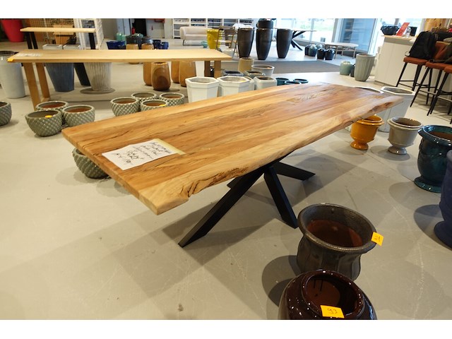 Indoor boomstamtafel - afbeelding 4 van  7
