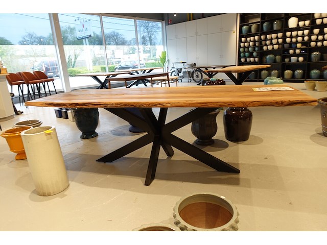 Indoor boomstamtafel - afbeelding 5 van  7