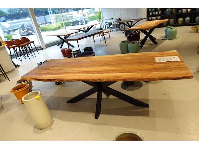 Indoor boomstamtafel - afbeelding 6 van  7