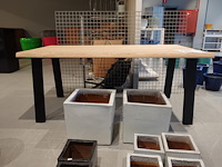 Indoor boomstamtafel - afbeelding 1 van  7