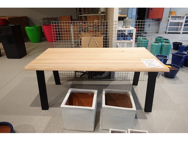 Indoor boomstamtafel - afbeelding 2 van  7