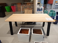 Indoor boomstamtafel - afbeelding 2 van  7