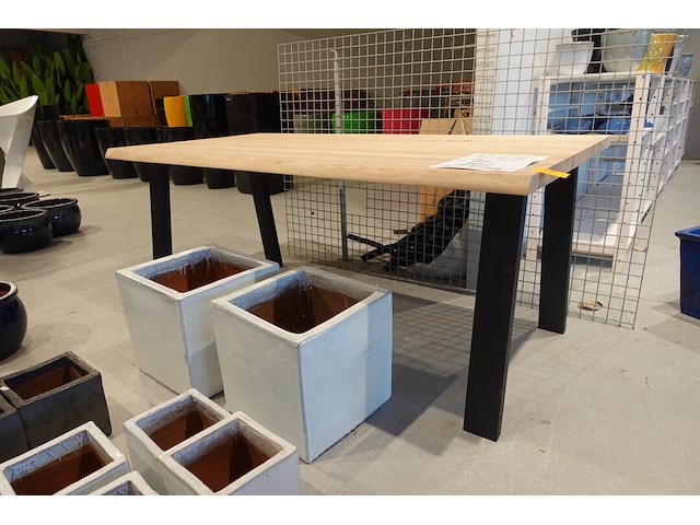 Indoor boomstamtafel - afbeelding 3 van  7