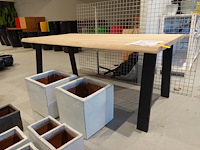 Indoor boomstamtafel - afbeelding 3 van  7