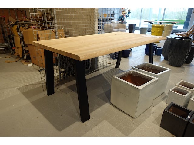 Indoor boomstamtafel - afbeelding 4 van  7