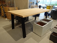 Indoor boomstamtafel - afbeelding 4 van  7