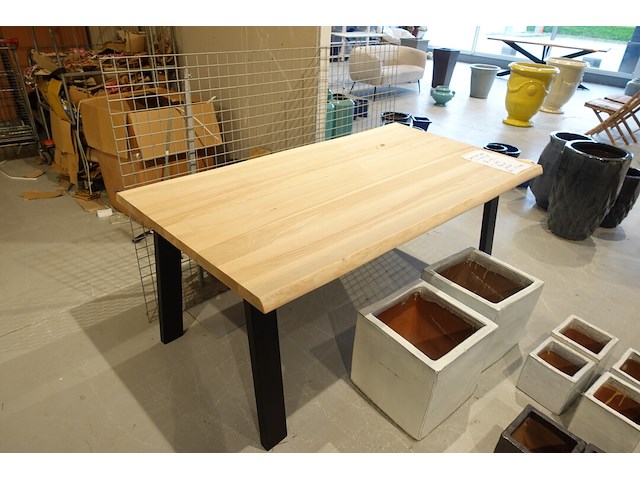 Indoor boomstamtafel - afbeelding 5 van  7