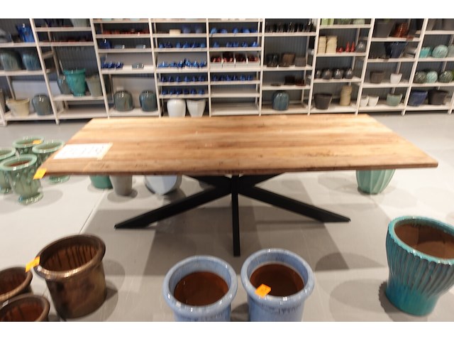 Indoor boomstamtafel - afbeelding 2 van  5