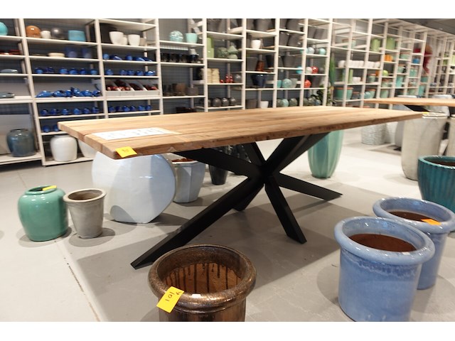 Indoor boomstamtafel - afbeelding 3 van  5