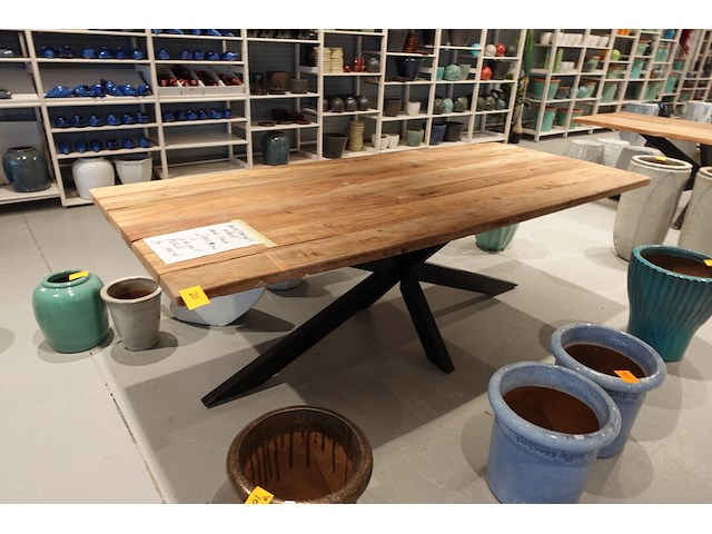 Indoor boomstamtafel - afbeelding 4 van  5