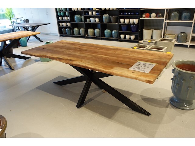 Indoor boomstamtafel - afbeelding 4 van  5
