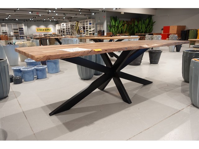Indoor boomstamtafel - afbeelding 3 van  5