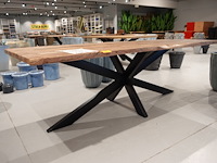 Indoor boomstamtafel - afbeelding 3 van  5