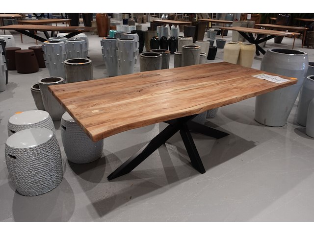 Indoor boomstamtafel - afbeelding 4 van  5