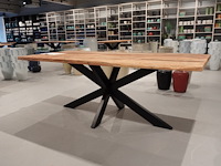 Indoor boomstamtafel - afbeelding 3 van  5