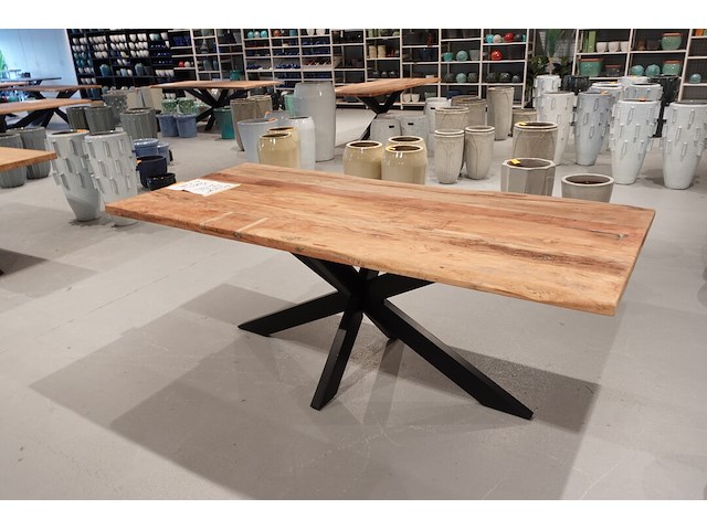 Indoor boomstamtafel - afbeelding 4 van  5
