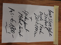 Indoor boomstamtafel - afbeelding 5 van  5