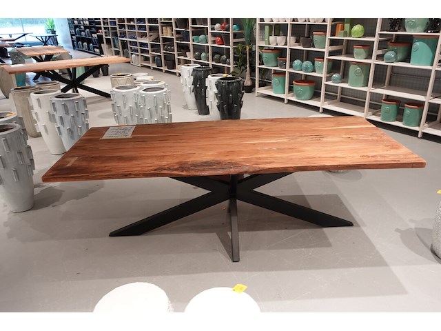 Indoor boomstamtafel - afbeelding 2 van  5