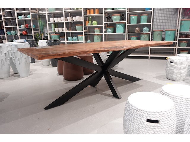 Indoor boomstamtafel - afbeelding 3 van  5