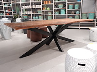 Indoor boomstamtafel - afbeelding 3 van  5