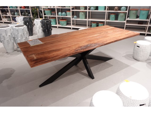 Indoor boomstamtafel - afbeelding 4 van  5