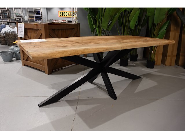 Indoor boomstamtafel - afbeelding 1 van  5