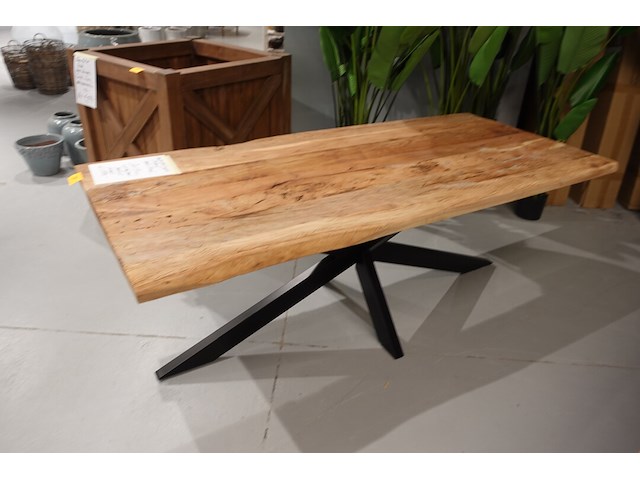 Indoor boomstamtafel - afbeelding 2 van  5