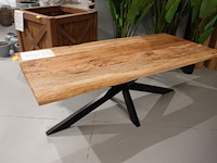 Indoor boomstamtafel - afbeelding 2 van  5