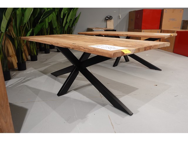Indoor boomstamtafel - afbeelding 3 van  5