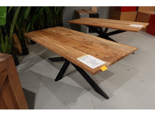 Indoor boomstamtafel - afbeelding 4 van  5