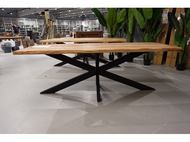 Indoor boomstamtafel - afbeelding 1 van  5