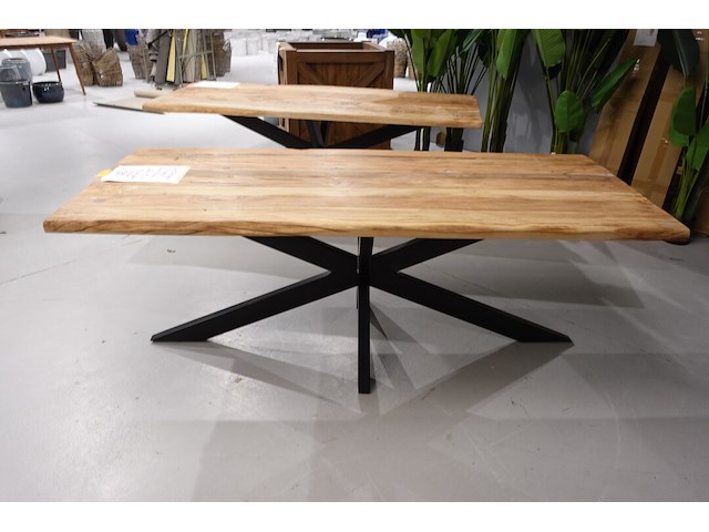 Indoor boomstamtafel - afbeelding 2 van  5