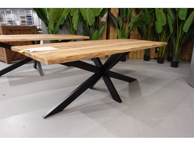 Indoor boomstamtafel - afbeelding 3 van  5