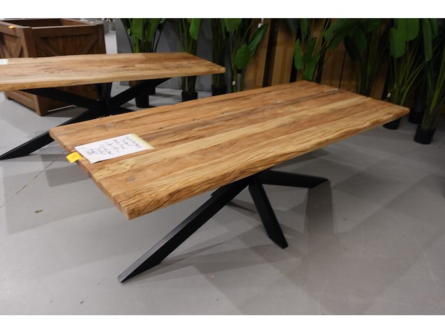 Indoor boomstamtafel - afbeelding 4 van  5