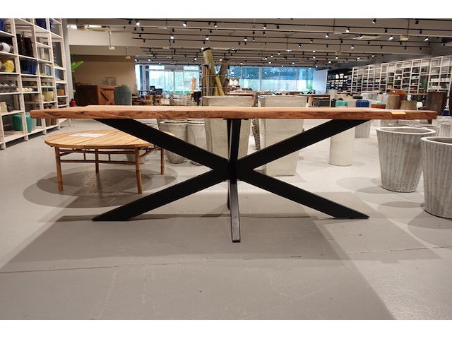 Indoor boomstamtafel - afbeelding 1 van  7