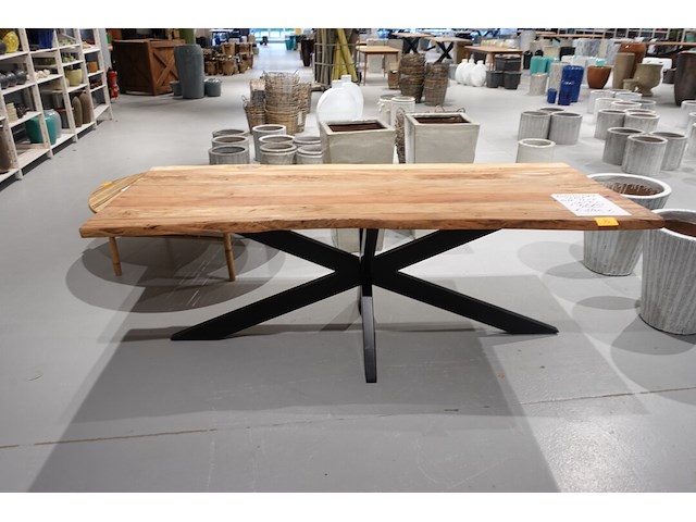 Indoor boomstamtafel - afbeelding 2 van  7