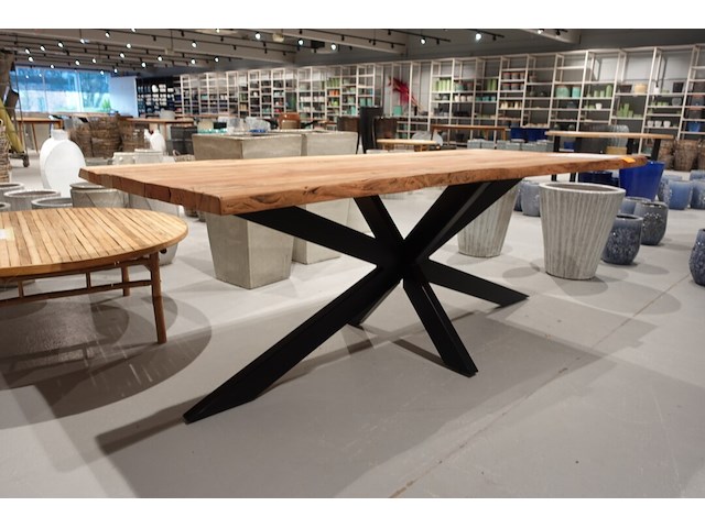 Indoor boomstamtafel - afbeelding 3 van  7