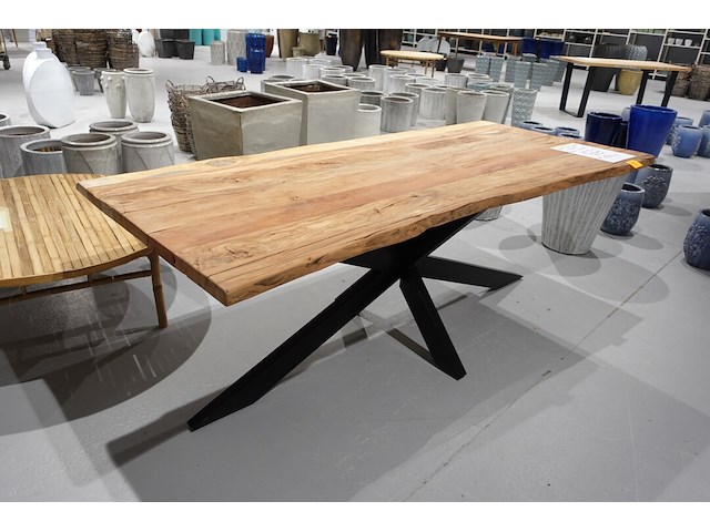 Indoor boomstamtafel - afbeelding 4 van  7